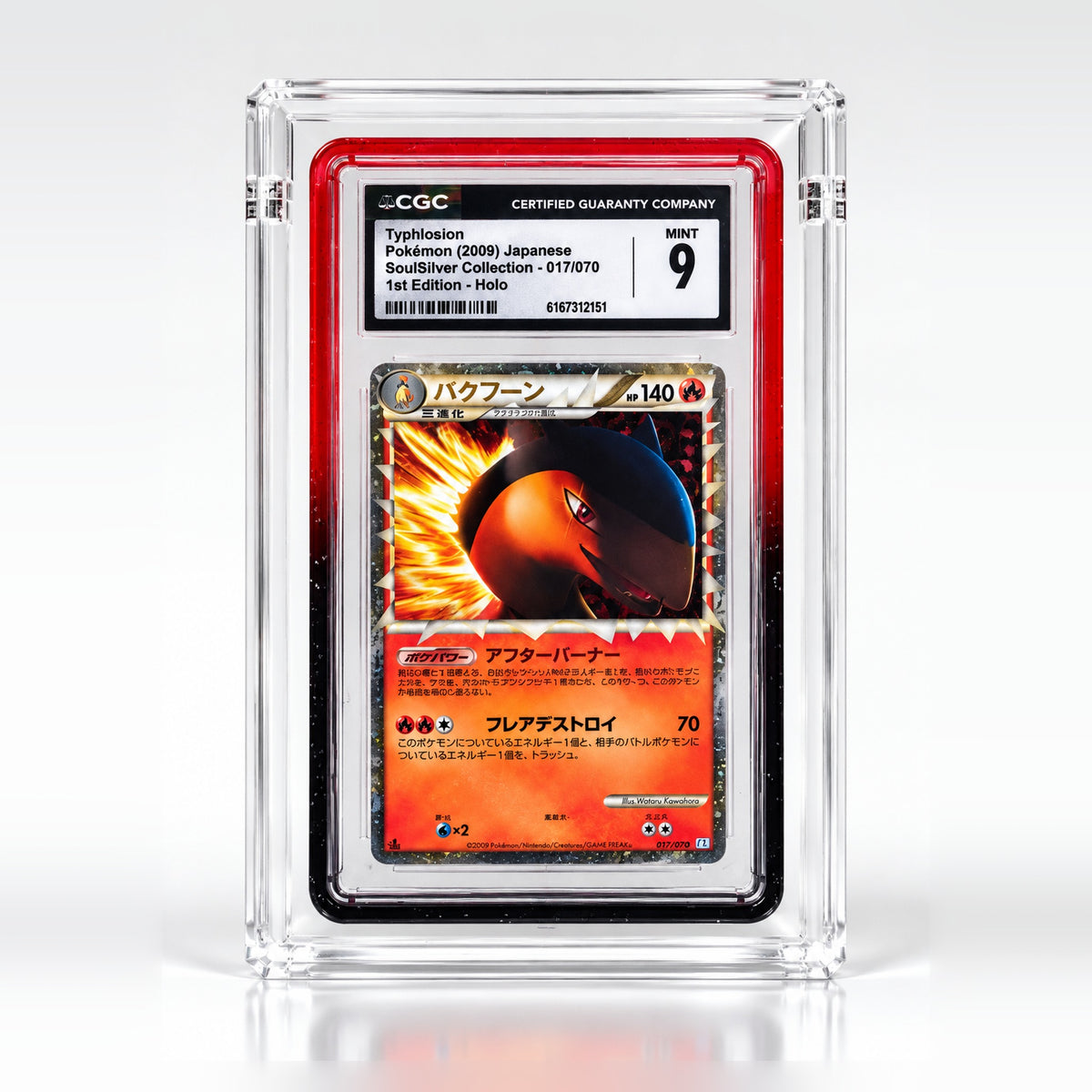 Guardian Display Acrylic Case